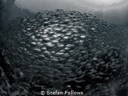"They say the universe is expanding. That should help wit... by Stefan Follows 